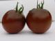 How To Use Black Russian Tomato